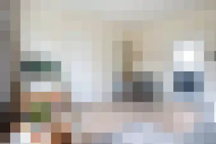 Albert Cuypstraat 3 Zwolle thumbnail 6