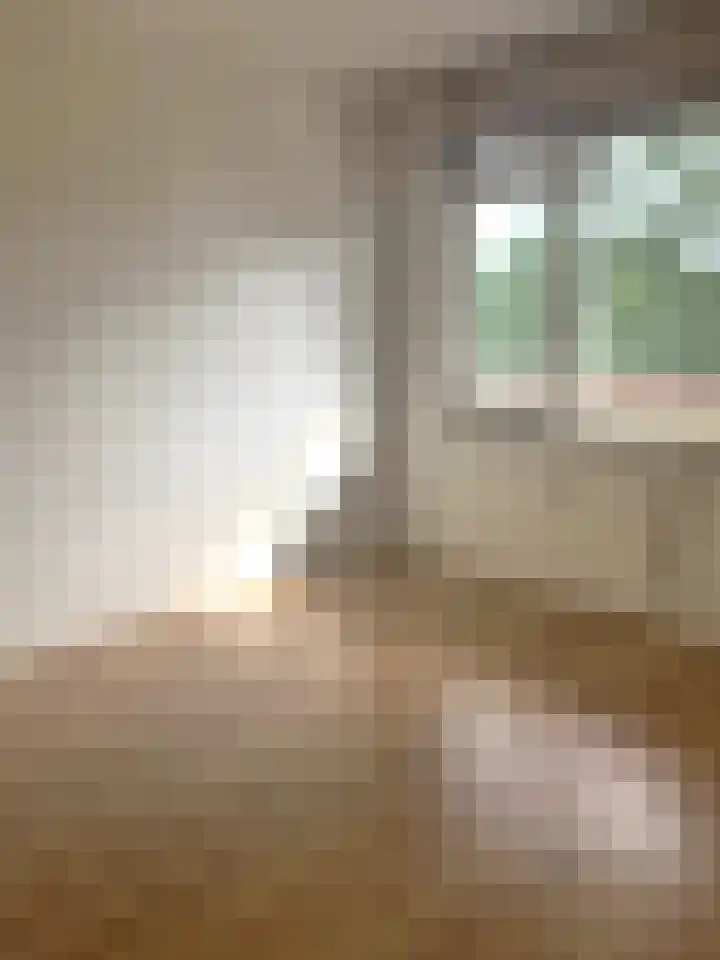 Albert Cuypstraat 300 Venlo thumbnail 25