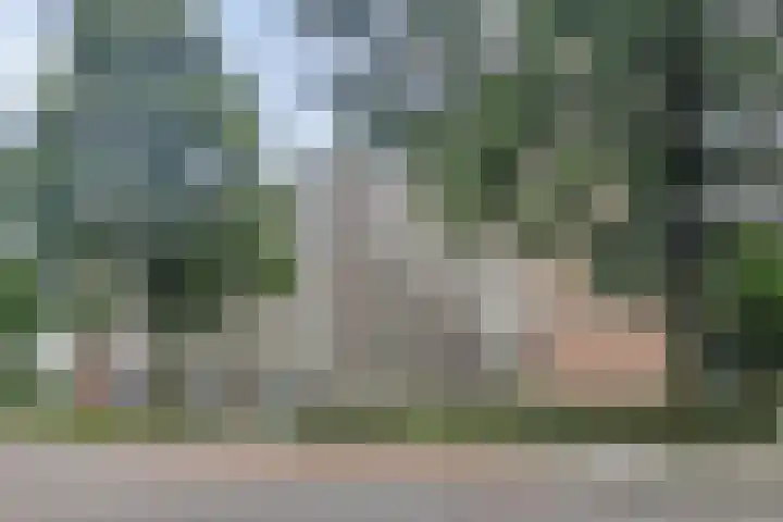 Albert Cuypstraat 300 Venlo thumbnail 32