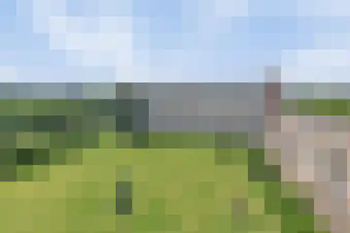 Albert Cuypstraat 300 Venlo thumbnail 33