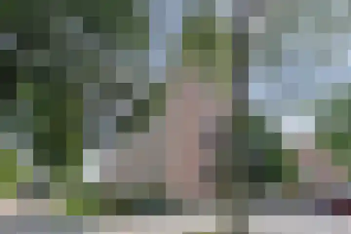 Albert Cuypstraat 300 Venlo thumbnail 4