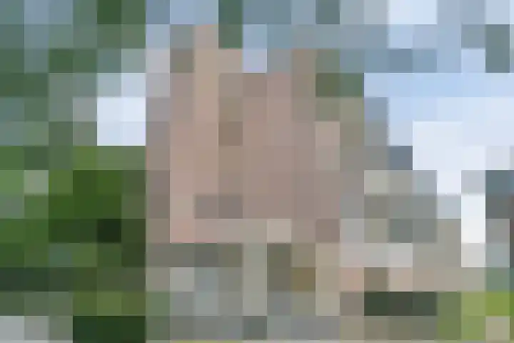 Albert Cuypstraat 300 Venlo thumbnail 5