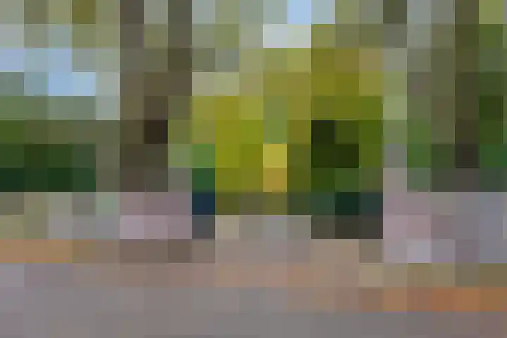 Albert Cuypstraat 4 2 Maarssen thumbnail 29