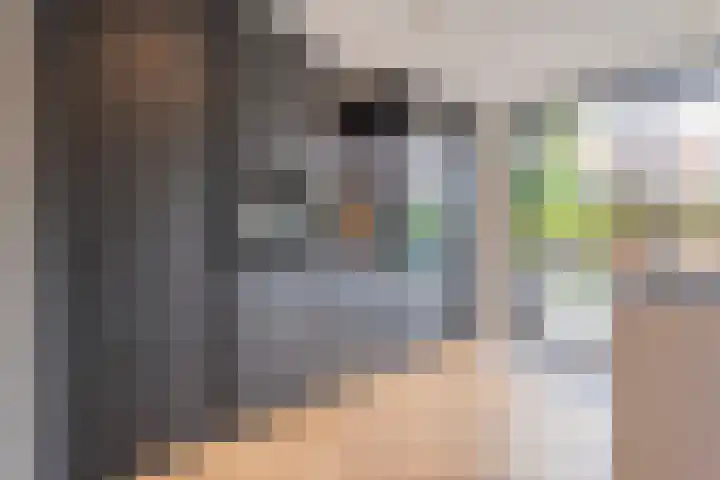 Albert Cuypstraat 40 Zwolle thumbnail 13