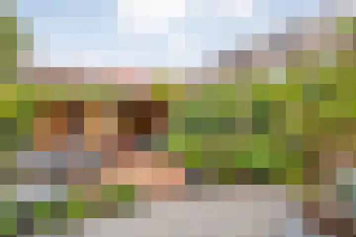 Albert Cuypstraat 40 Zwolle thumbnail 33