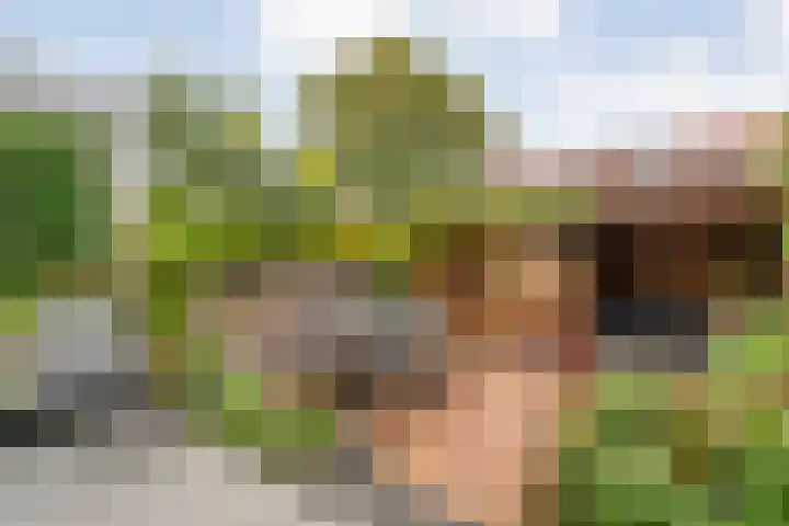 Albert Cuypstraat 40 Zwolle thumbnail 34