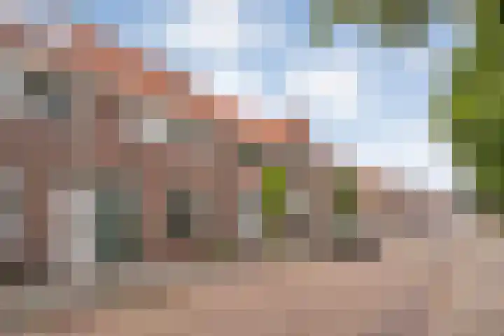 Albert Cuypstraat 40 Zwolle thumbnail 42