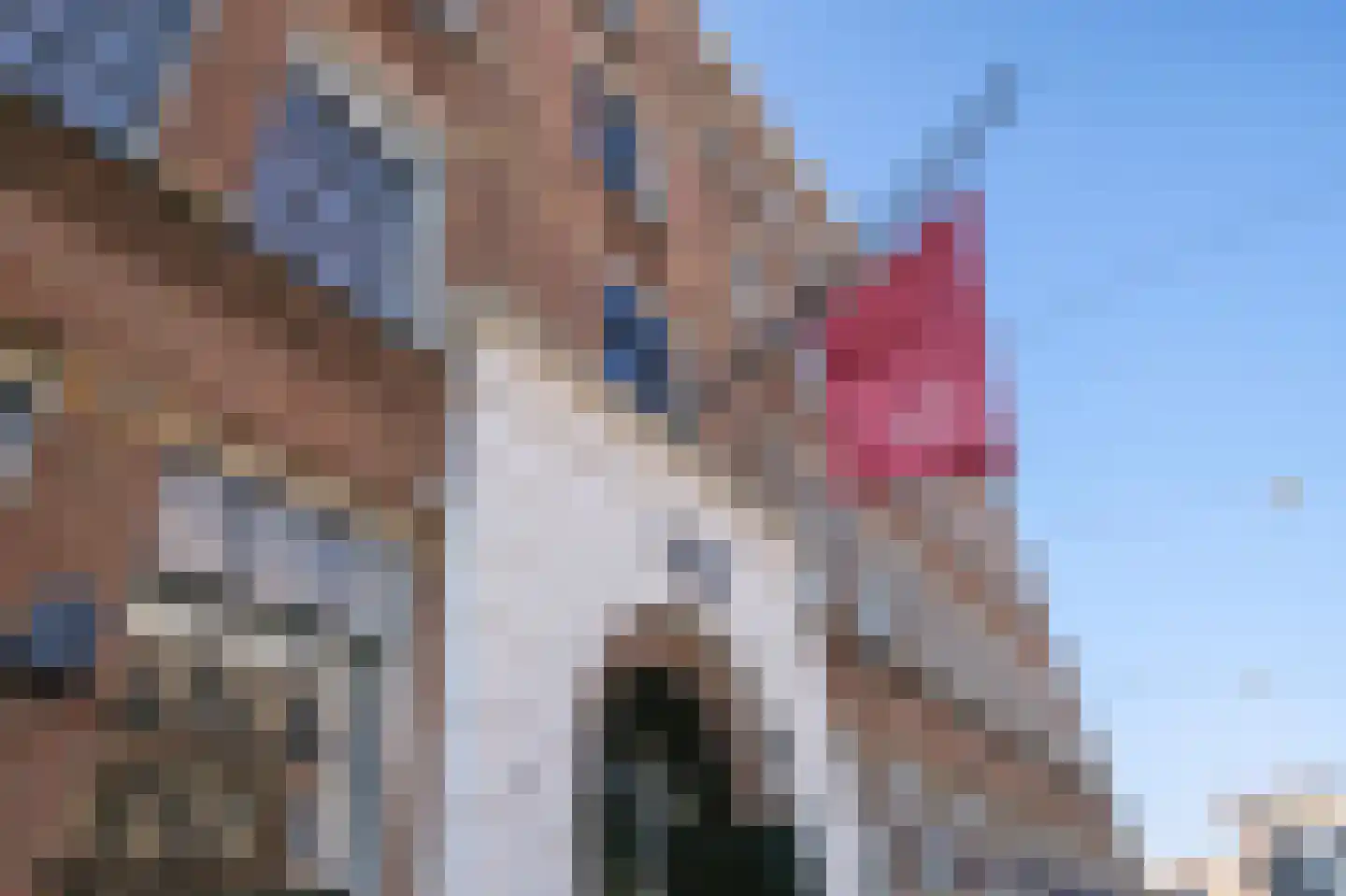 Albert Cuypstraat 42 B Amsterdam thumbnail 26