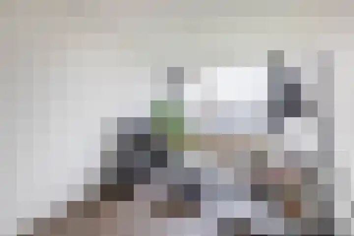Albert Cuypstraat 44 Capelle aan den IJssel thumbnail 11