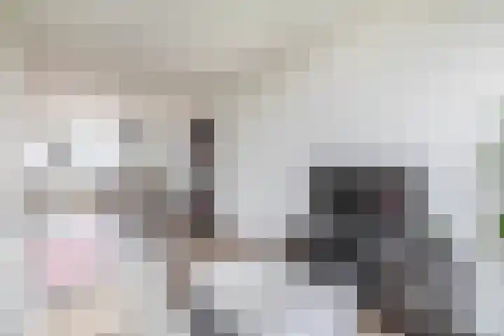 Albert Cuypstraat 44 Capelle aan den IJssel thumbnail 12