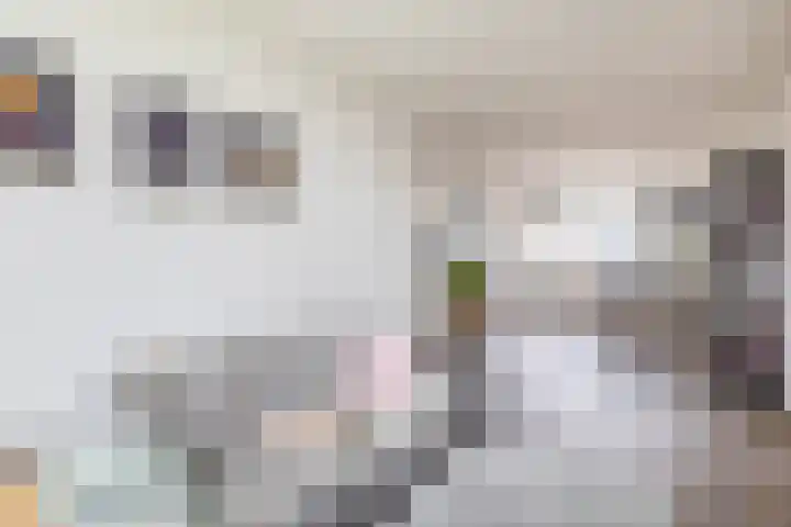 Albert Cuypstraat 44 Capelle aan den IJssel thumbnail 13