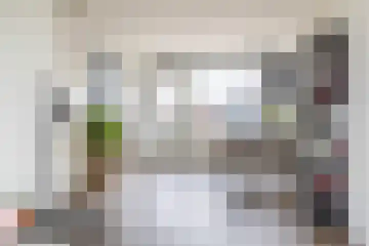Albert Cuypstraat 44 Capelle aan den IJssel thumbnail 14