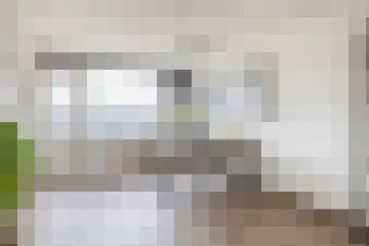 Albert Cuypstraat 44 Capelle aan den IJssel thumbnail 15