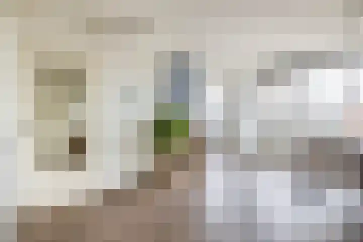 Albert Cuypstraat 44 Capelle aan den IJssel thumbnail 16