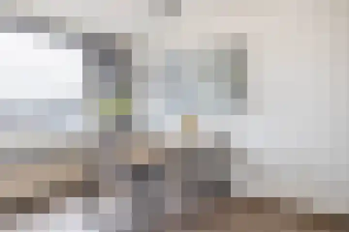 Albert Cuypstraat 44 Capelle aan den IJssel thumbnail 17