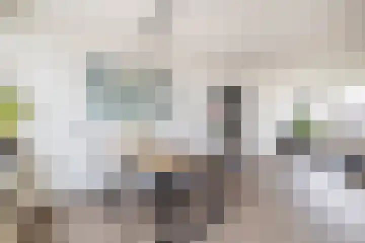 Albert Cuypstraat 44 Capelle aan den IJssel thumbnail 18