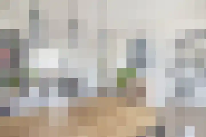 Albert Cuypstraat 44 Capelle aan den IJssel thumbnail 19