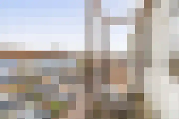 Albert Cuypstraat 44 Capelle aan den IJssel thumbnail 24