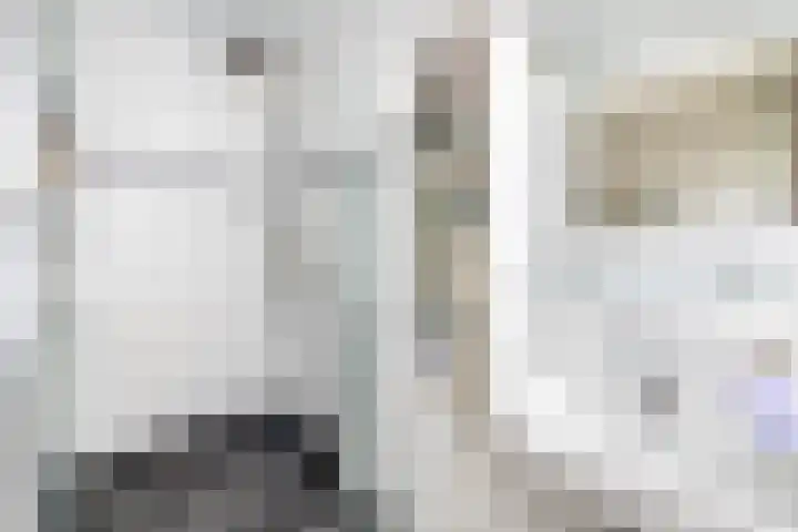 Albert Cuypstraat 44 Capelle aan den IJssel thumbnail 25
