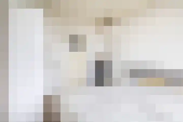 Albert Cuypstraat 44 Capelle aan den IJssel thumbnail 28