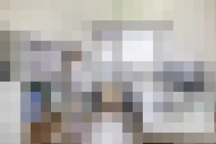 Albert Cuypstraat 44 Capelle aan den IJssel thumbnail 29