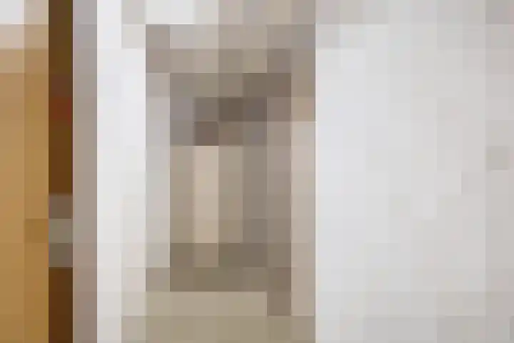 Albert Cuypstraat 44 Capelle aan den IJssel thumbnail 31