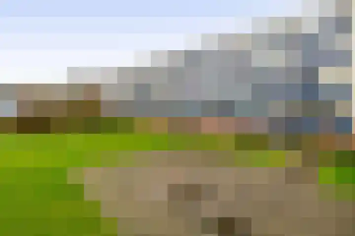 Albert Cuypstraat 44 Capelle aan den IJssel thumbnail 36
