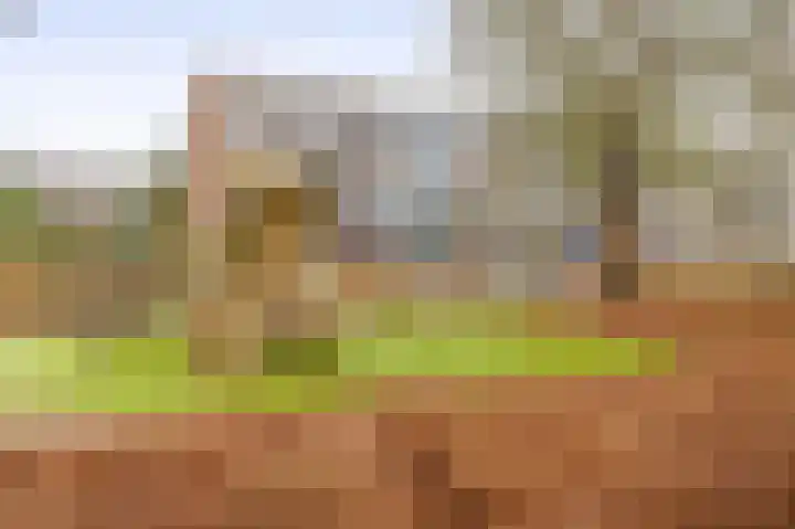 Albert Cuypstraat 44 Capelle aan den IJssel thumbnail 37
