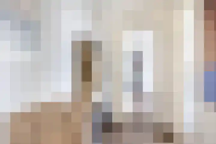 Albert Cuypstraat 44 Capelle aan den IJssel thumbnail 9