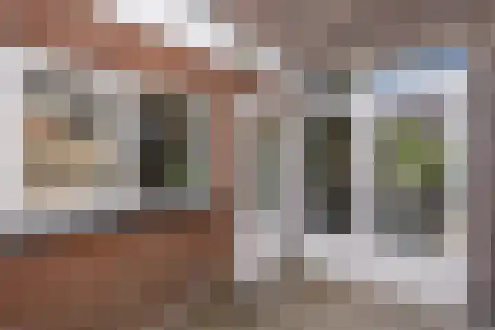 Albert Cuypstraat 46 Zwolle thumbnail 24