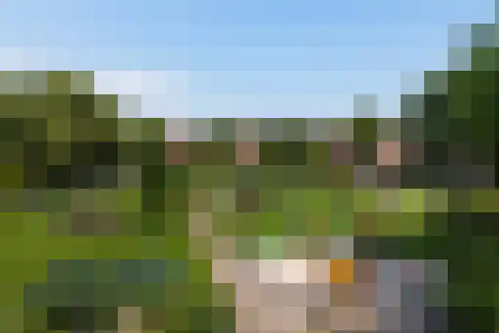Albert Cuypstraat 46 Zwolle thumbnail 31