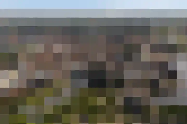 Albert Cuypstraat 46 Zwolle thumbnail 32