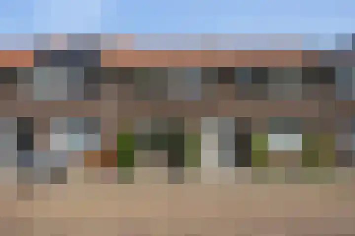 Albert Cuypstraat 46 Zwolle thumbnail 38