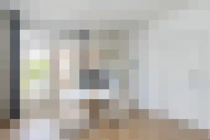 Albert Cuypstraat 46 Zwolle thumbnail 6