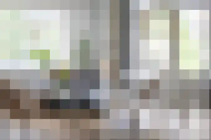 Albert Cuypstraat 46 Zwolle thumbnail 8