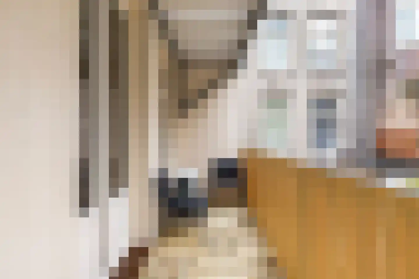 Albert Cuypstraat 47 H Amsterdam thumbnail 15