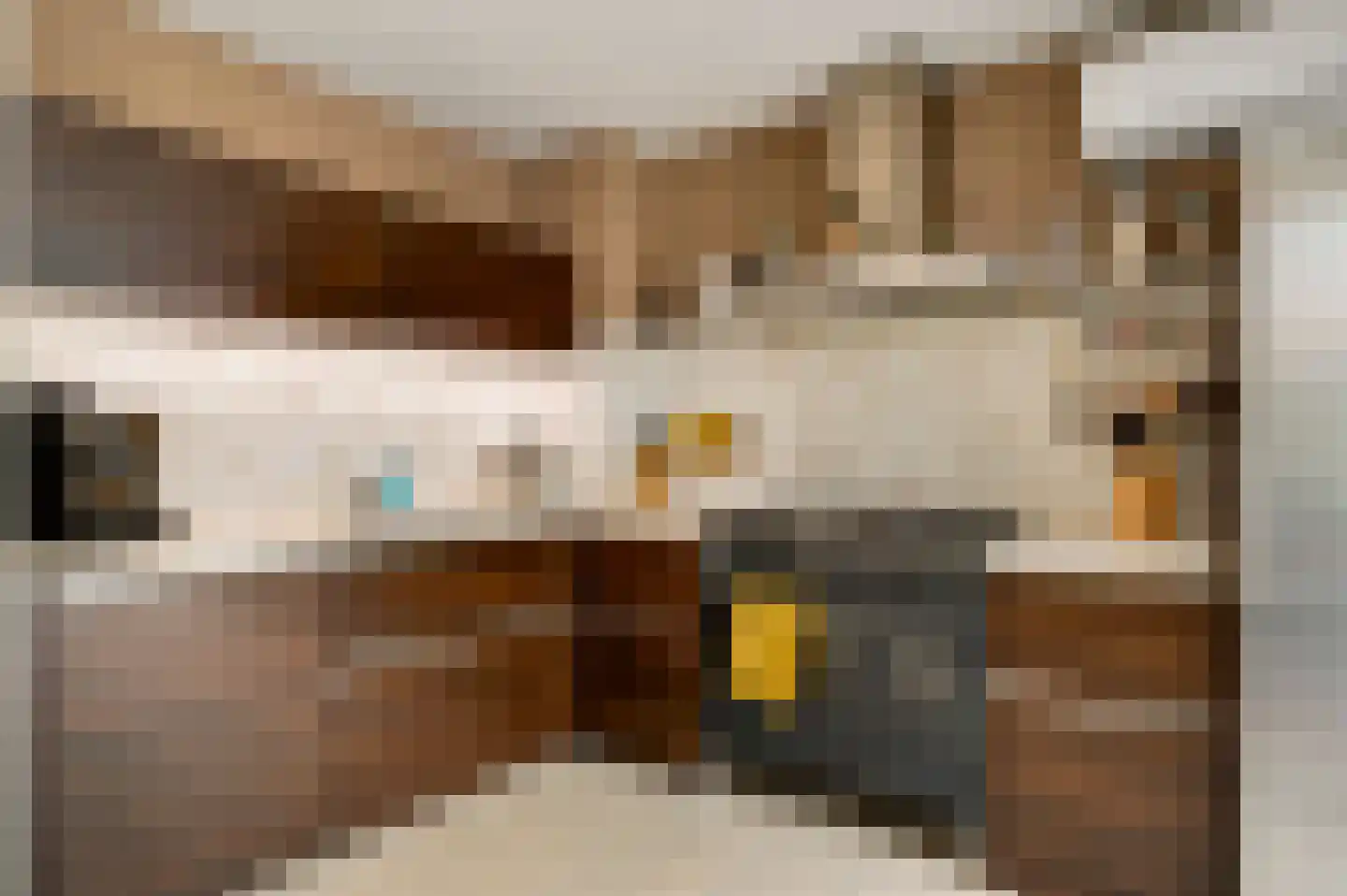Albert Cuypstraat 5 Venlo thumbnail 17