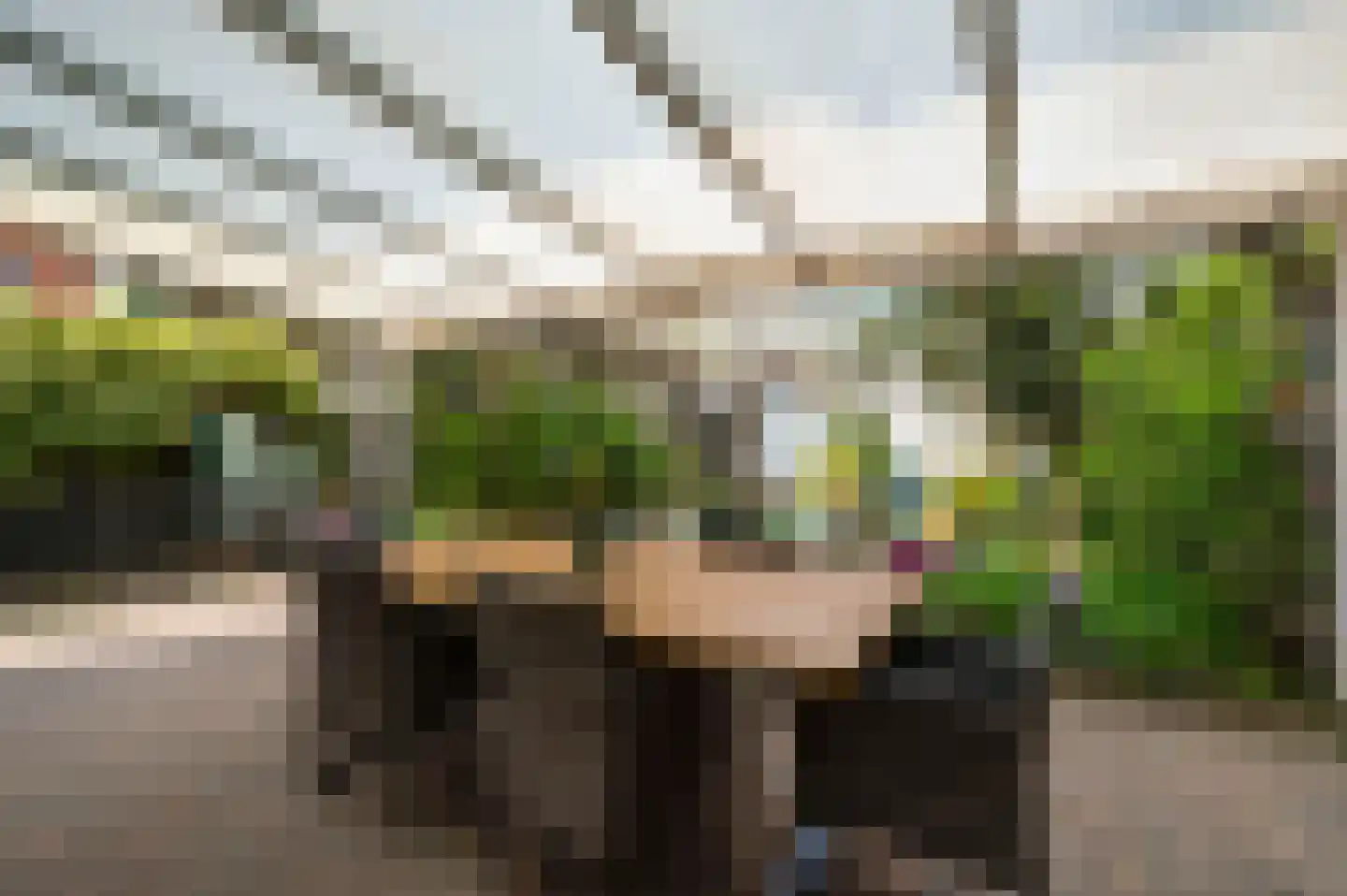 Albert Cuypstraat 5 Venlo thumbnail 34