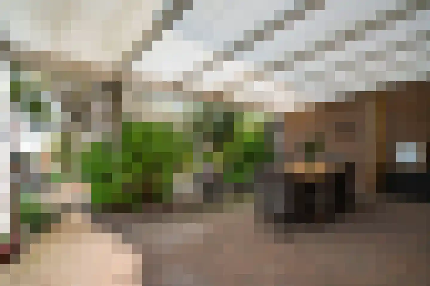 Albert Cuypstraat 5 Venlo thumbnail 35