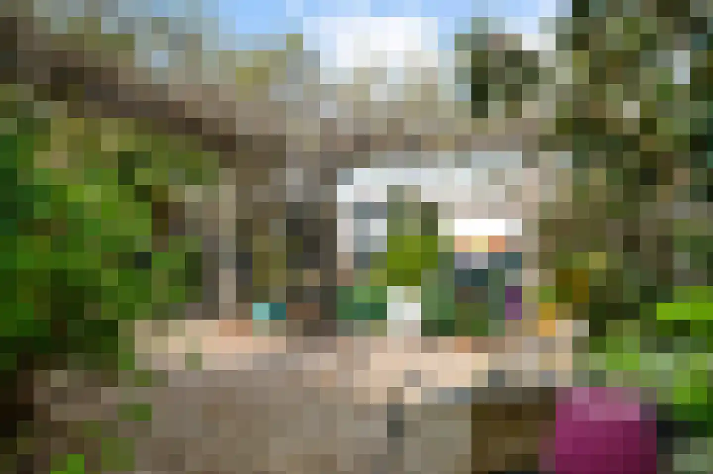 Albert Cuypstraat 5 Venlo thumbnail 36
