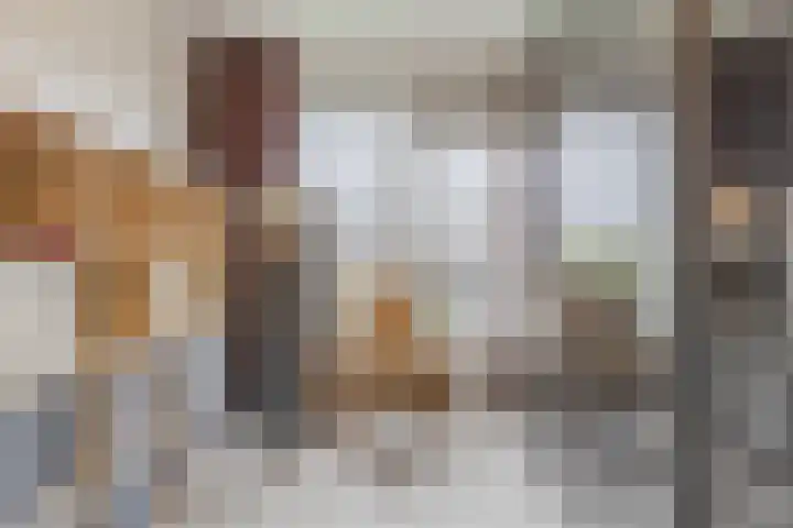 Albert Cuypstraat 66 Venlo thumbnail 37