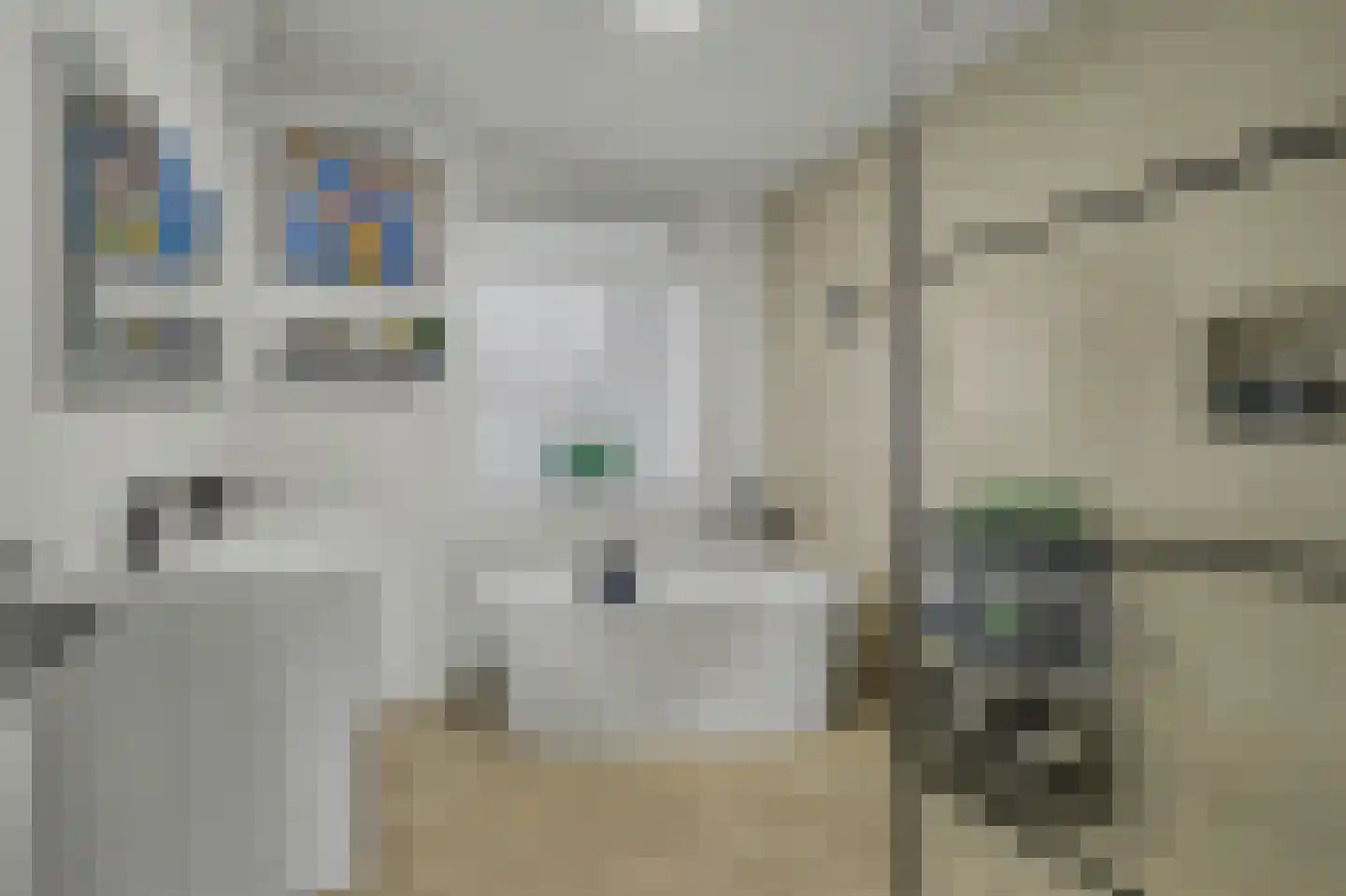 Albert Cuypstraat 68 Venlo thumbnail 4
