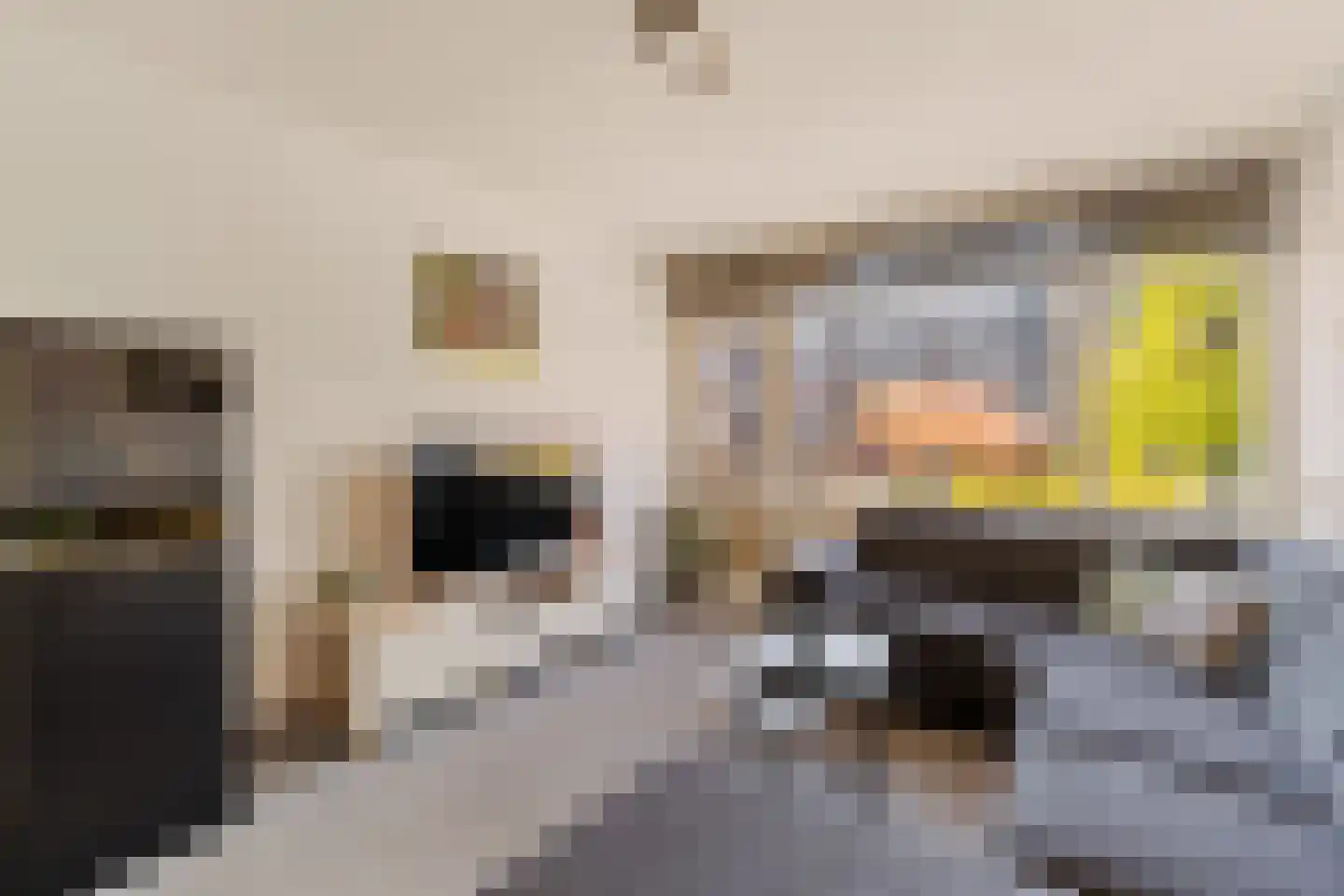 Albert Cuypstraat 76 Capelle aan den IJssel thumbnail 10