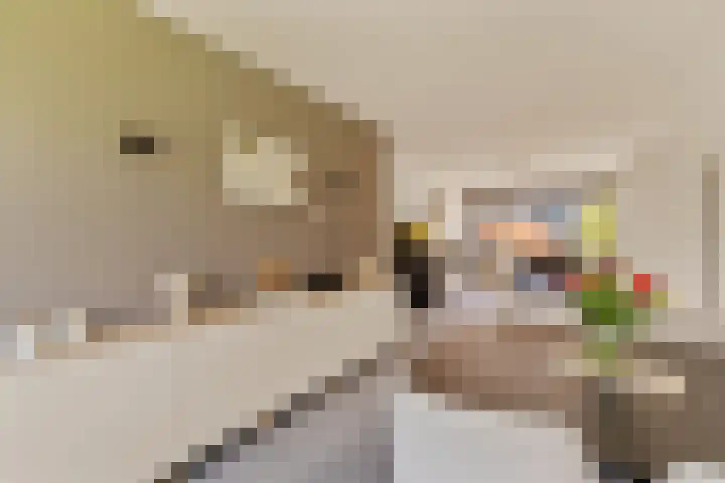 Albert Cuypstraat 76 Capelle aan den IJssel thumbnail 11