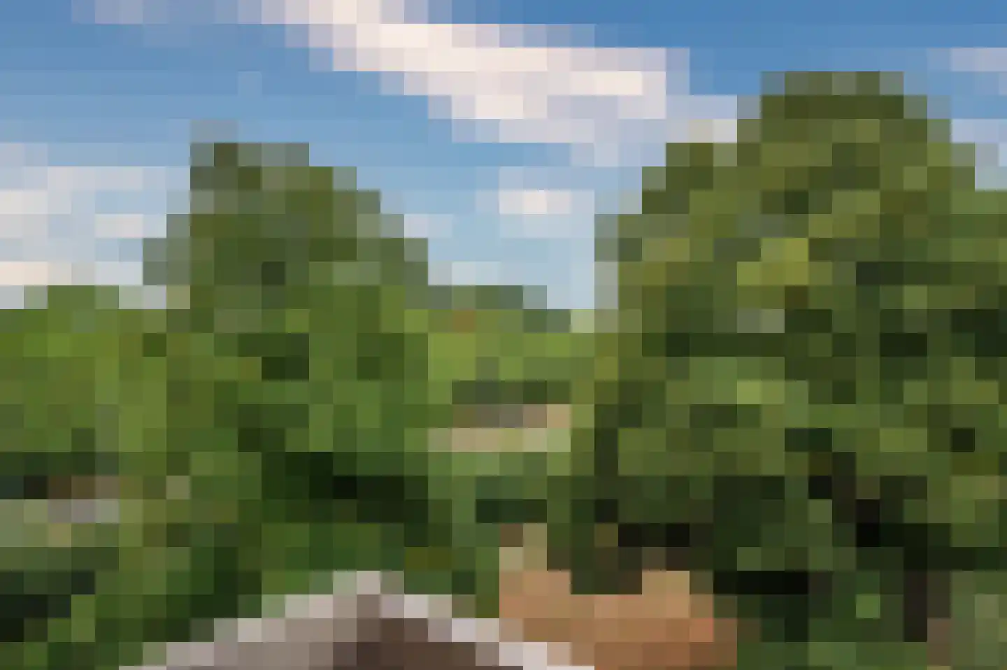 Albert Cuypstraat 82 Venlo thumbnail 31