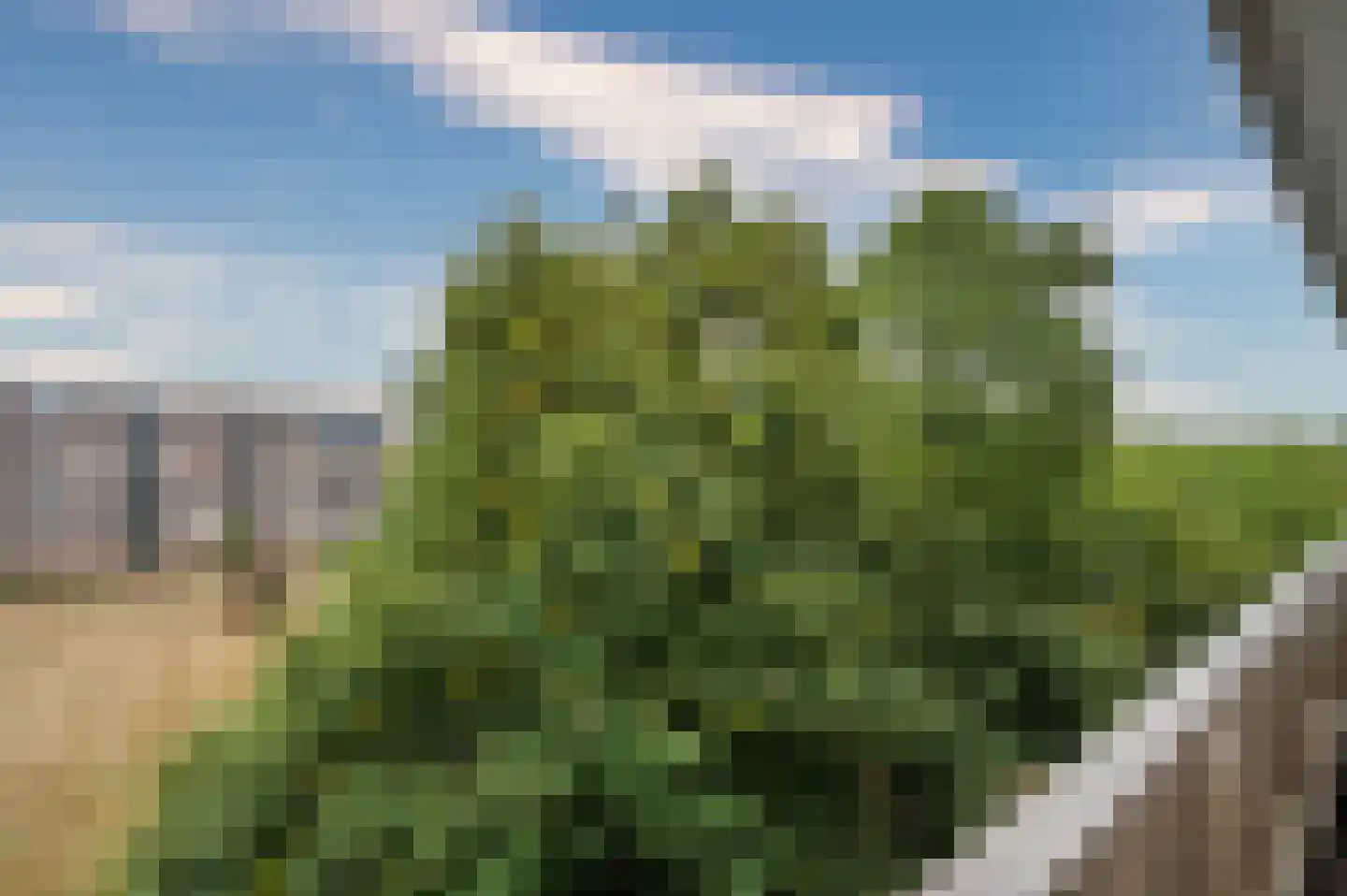 Albert Cuypstraat 82 Venlo thumbnail 33