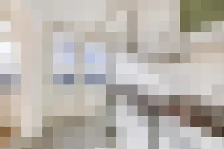 Albert Cuypstraat 86 Capelle aan den IJssel thumbnail 14