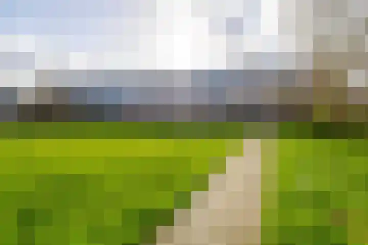Albert Cuypstraat 86 Capelle aan den IJssel thumbnail 23