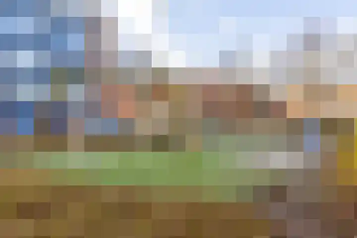 Albert Cuypstraat 86 Capelle aan den IJssel thumbnail 26