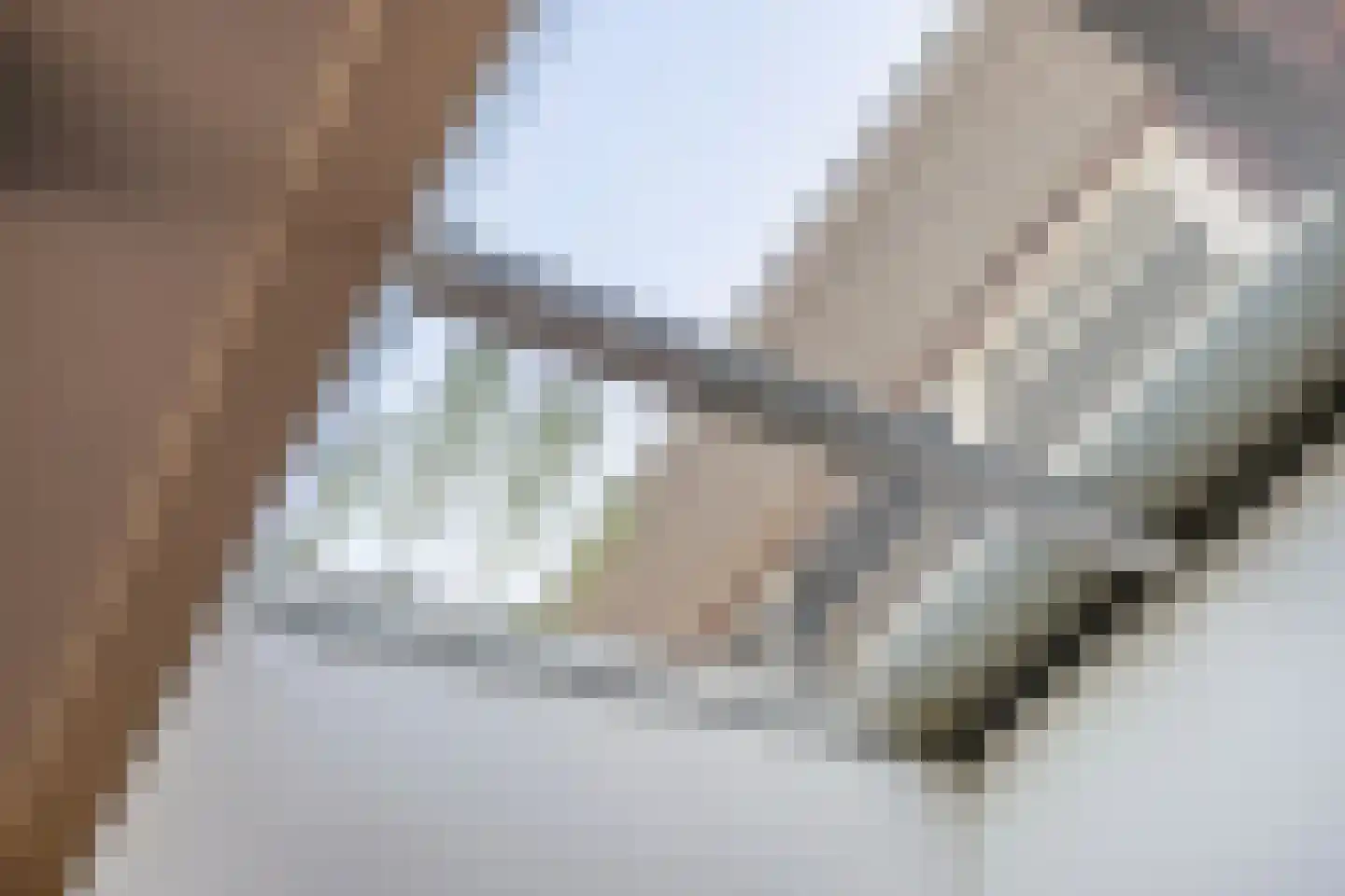 Albert Cuypstraat 9 Hengelo thumbnail 17